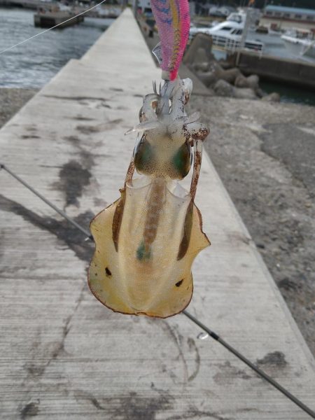 季節外れの寒さ